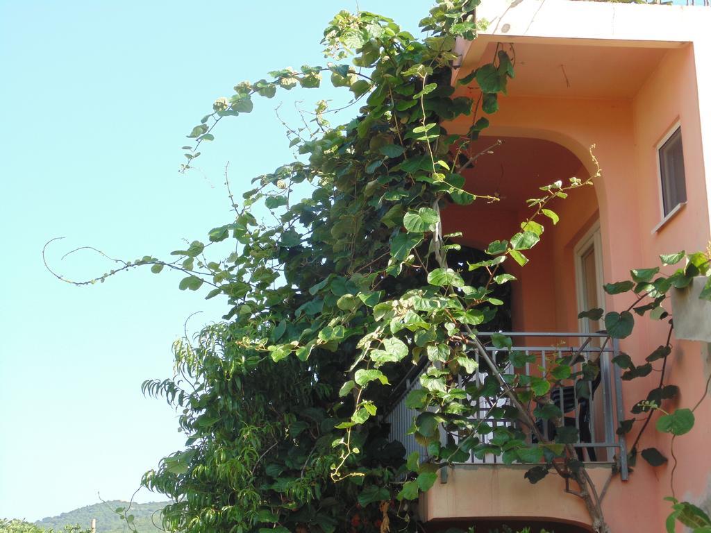 Apartments Macaso Bar Exterior foto